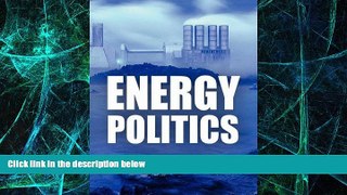 Big Deals  Energy Politics  Best Seller Books Most Wanted