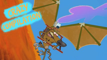 Zig & Sharko - Crazy Compilation _ HD