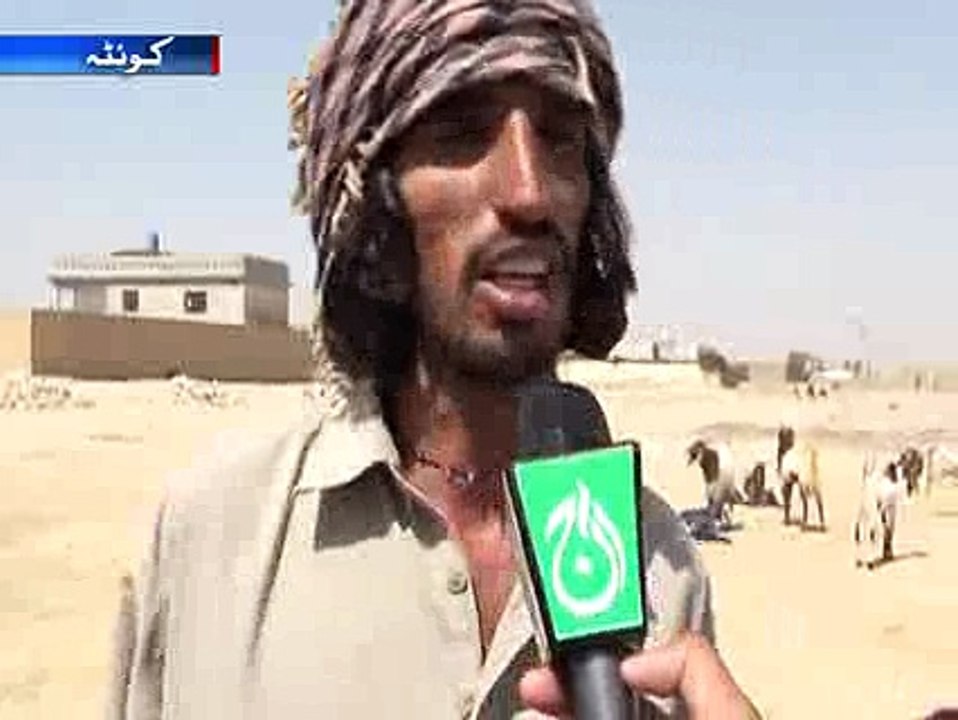 Quetta Cattle Market Cango Virus