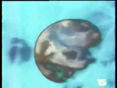 Générique Télé-aventures La 5 -1989