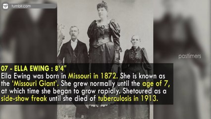 Top 10 Amazing True Life Giants
