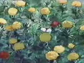 souvenirs goutte à goutte [PASS 2]