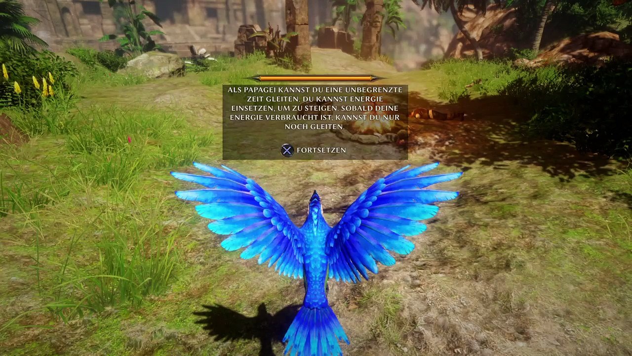 Risen 3 (23)