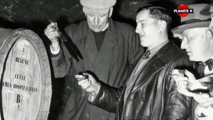 2e Guerre Mondiale - Les raisins de la guerre #2