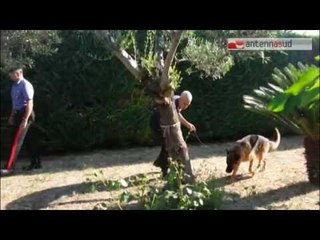 TGSRVago26 andria sequestro preventivo