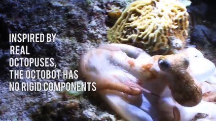 Octobot, el primer robot blando controlado por fluidos