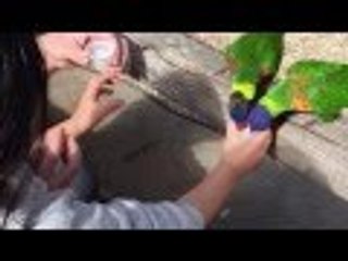 Aquarium of the Pacific | Liam and Taylor's Corner