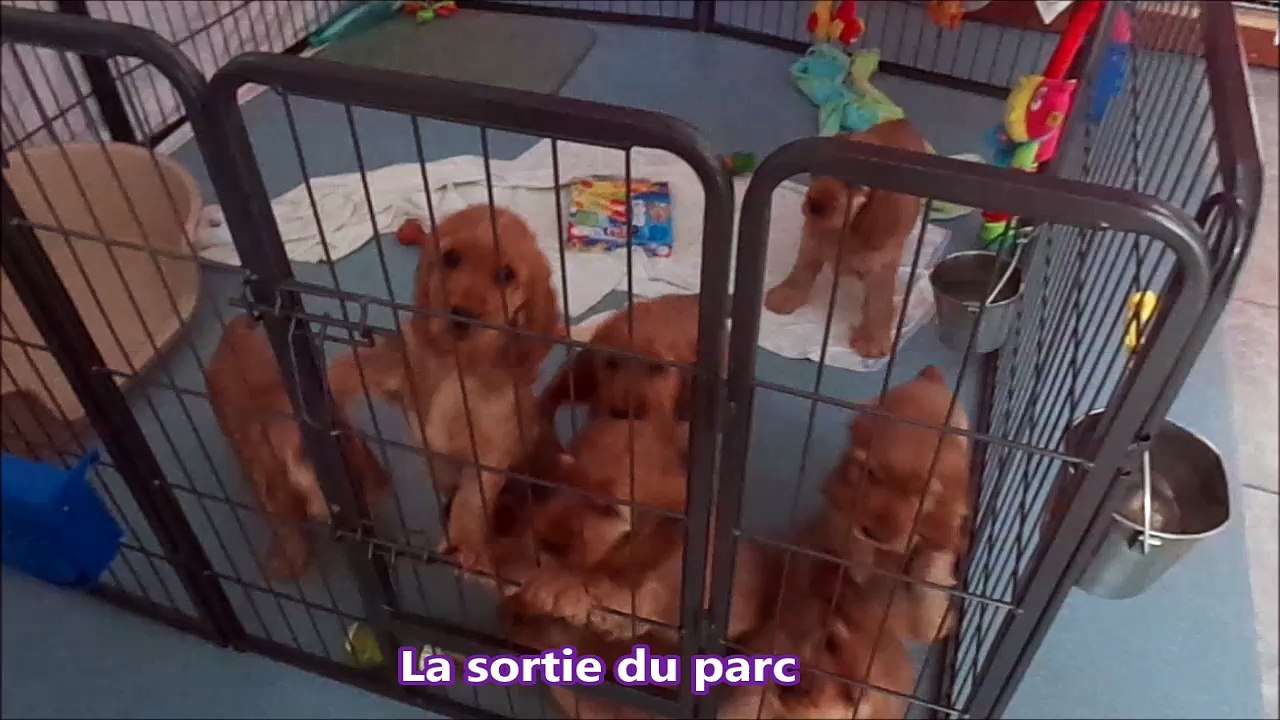 La sortie pour les besoins