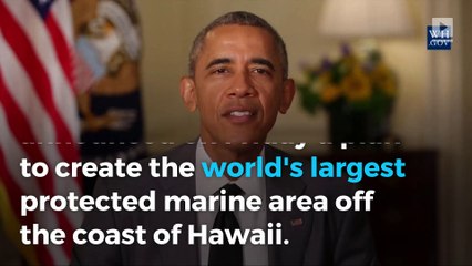 Obama to create world’s largest marine reserve off Hawaii