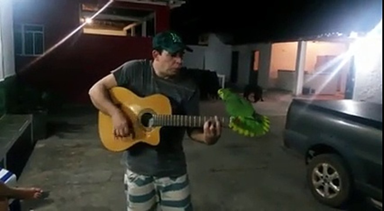 Un homme chante avec son perroquet accompagné d'une guitare.