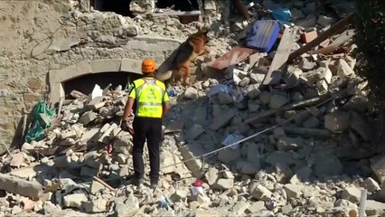 Migrants join in rescue efforts after earthquake hits Italy