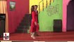 DANCING QUEEN NIGAR CHOUDHRY - BANWAN VICH LAL LAL - 2016 PAKISTANI MUJRA DANCE