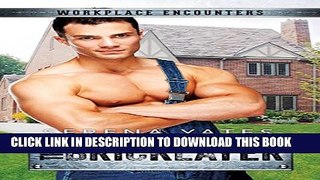 Collection Book The Bricklayer (Workplace Encounters)