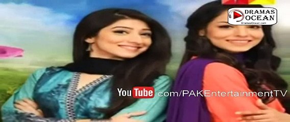 Haya Ke Daman Mein Episode 108 Promo - Hum Tv - Drama