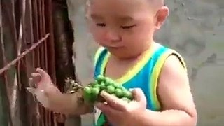 Funny Baby Cute 2016