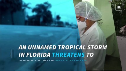 Zika in Florida: Tropical storm threatens to spread virus