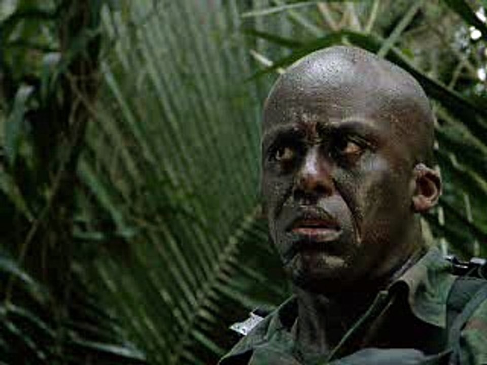 More Guns In The Jungle