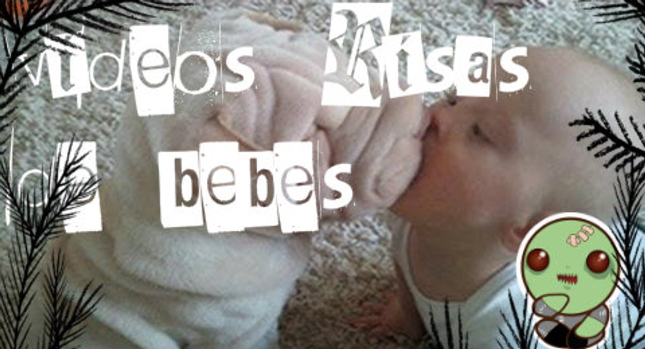 PARA MEARSE DE RISA -Videos de risa de bebes - Se ríen de los perros