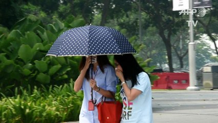Un nuage de fumée recouvre Singapour