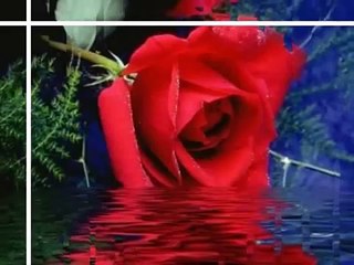 Tuj se naraz nain zindagi amanat ali