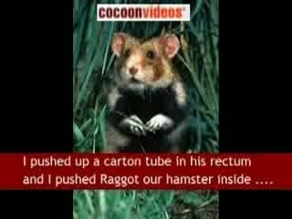 Raggot the Hamster Forbidden AFP News Bulletin