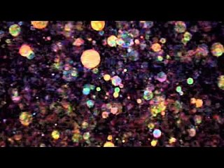 Les ORBES - Tony Profit sur Fréquence Evasion