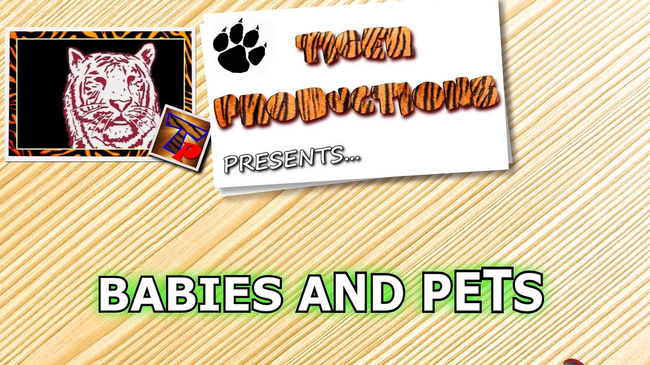 Babies and pets having fun together - Funny and cute baby & animal compilation