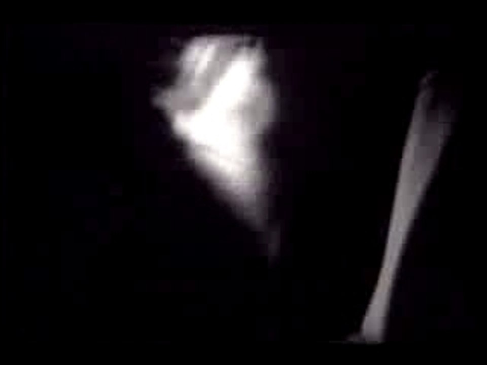 Dead moon - d.o.a.