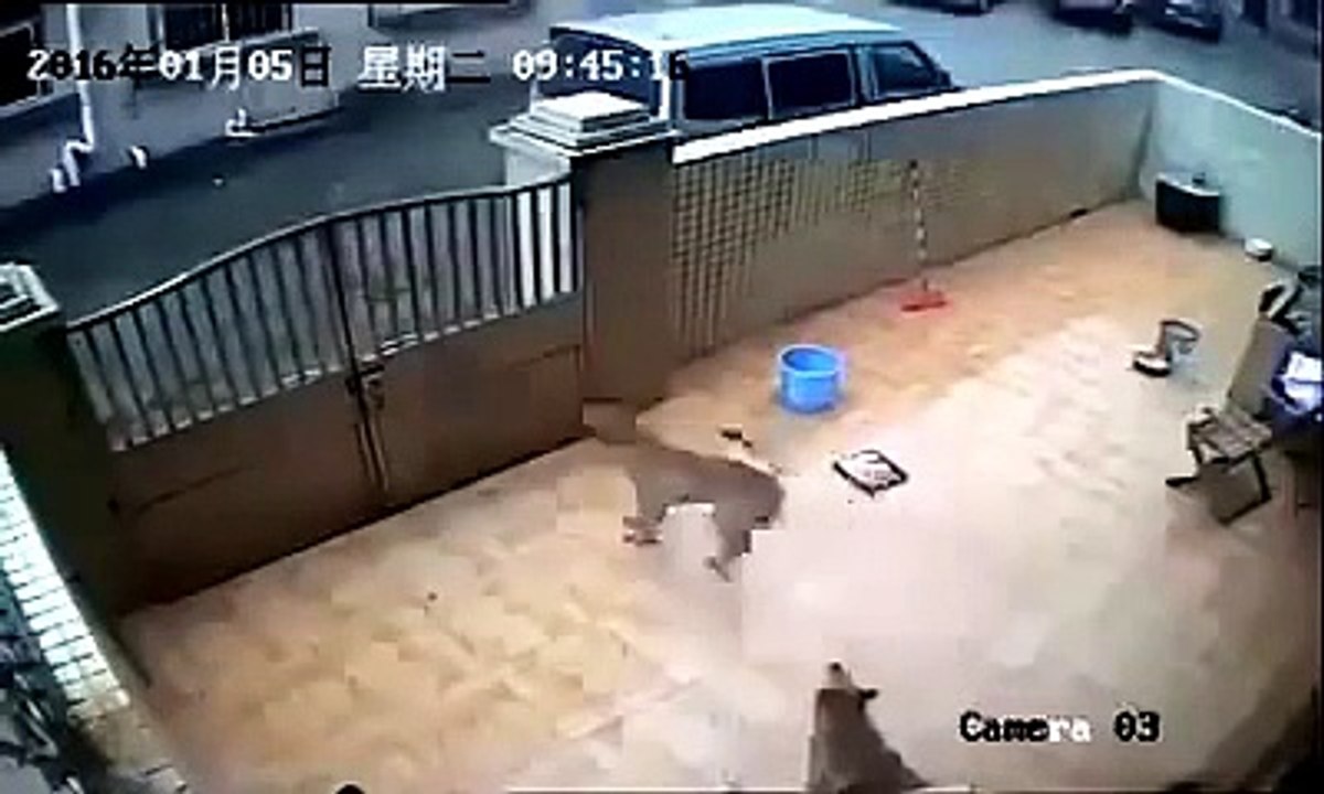 cctv footage latest