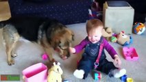 Cute Babies Laughing Hysterically at Dogs ★ Funny Kids Videos Compilation 2015