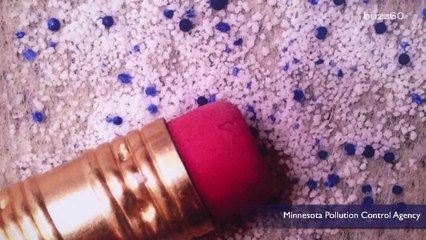 Study Finds Toxic Plastic in One Third of Fish