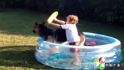 Funny babies and animals bathing together Cute baby