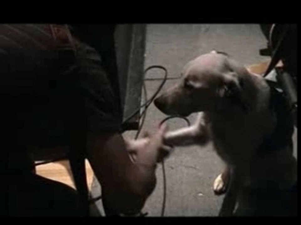 EXCLU Teaser - Nouvel Album de Deportivo