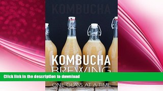 READ  Kombucha Brewing: Improve Your Health One Glass at a Time (Easy recipes. Wheat free. Gluten