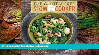 READ  The Gluten-Free Slow Cooker: Set It and Go with Quick and Easy Wheat-Free Meals Your Whole