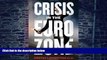 Big Deals  Crisis in the Eurozone  Free Full Read Most Wanted
