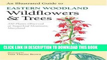 New Book An Illustrated Guide to Eastern Woodland Wildflowers and Trees: 350 Plants Observed at