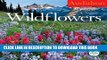 New Book Audubon Wildflowers Calendar 2012