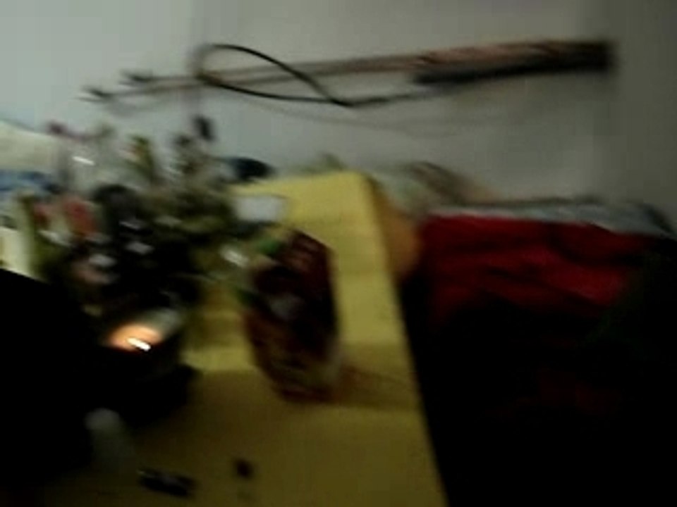 Joueurs d'harmonica