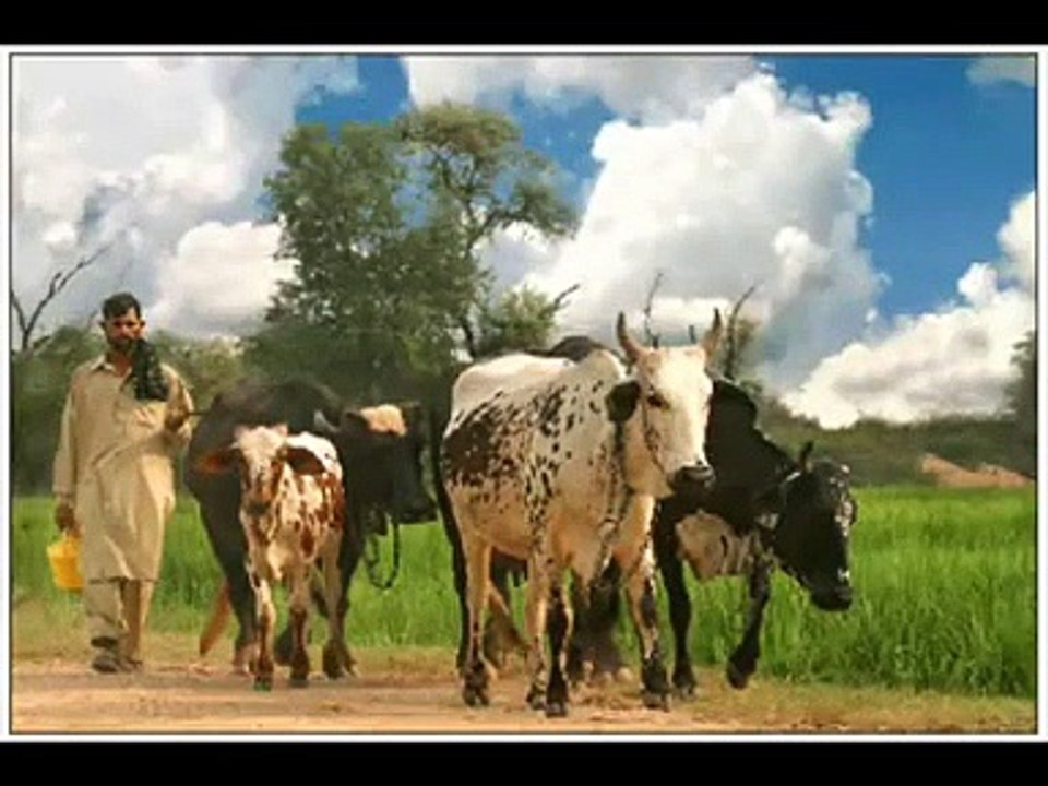 uth shah hussaina wekh ly assi badli baithy bais