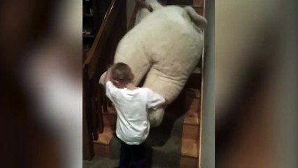 Emporté par un ours... En peluche