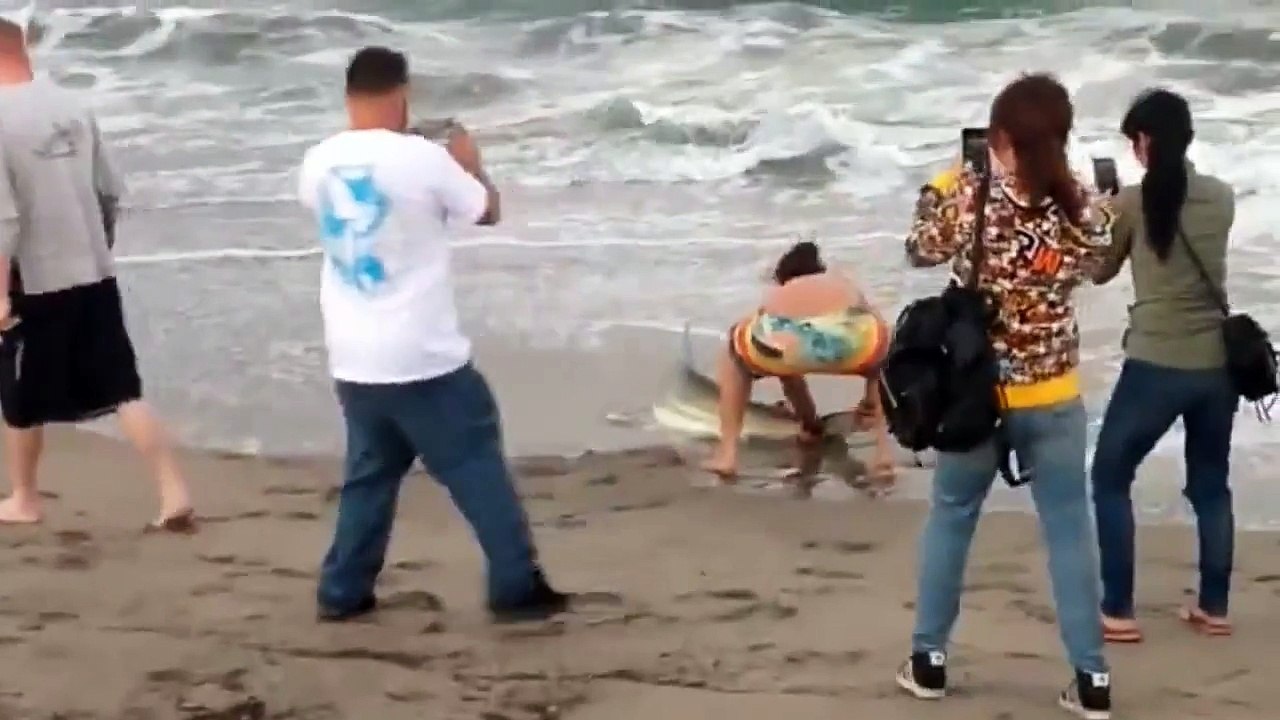 Un débile sort un requin de la mer pour prendre un selfie