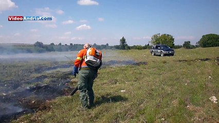 Andria: i volontari salvano uliveti dalle fiamme