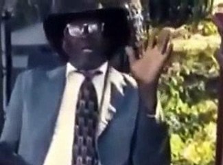 Super Funny or Stupid Human and Animal Videos 453 (5)