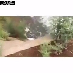 Une voiture de sport finit dans une rivière