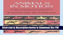 [Read] Animals in Motion (Dover Anatomy for Artists) by Muybridge, Eadweard (2000) Full Online