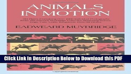 [Read] Animals in Motion (Dover Anatomy for Artists) by Muybridge, Eadweard (2000) Full Online