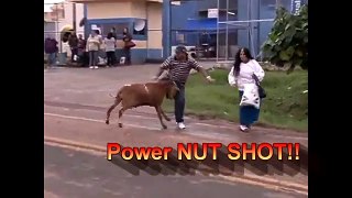 Hilarious!!_Crazy_Ass_Goat_Terrorizes_People_in_the_streets!_Real_Life_Mountain_