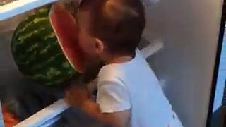 baby eating watermelon in fridge