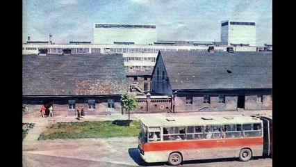 Chlopcy z Wilhelminy